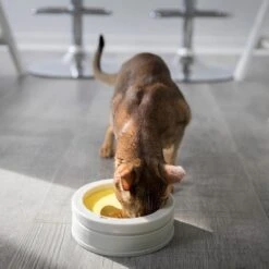 BeOneBreed Intellikatt - Slowfeeder Voor Katten - Voerpuzzel Aanbevolen Door Dierenartsen En Kattengedragsdeskundigen -Dieren Product Winkel 1200x1200 293