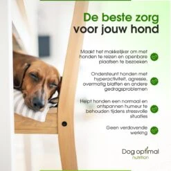 RUST EN KALMEREN CALMING Support 120 Stuks - Kalmeren - AntistressmiddelHond - Hond - Hondenkoekjes - Hondensupplementen - Honden - Puppy - Hondenvoeding -Dieren Product Winkel 1200x1200 2930