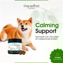 RUST EN KALMEREN CALMING Support 120 Stuks - Kalmeren - AntistressmiddelHond - Hond - Hondenkoekjes - Hondensupplementen - Honden - Puppy - Hondenvoeding -Dieren Product Winkel 1200x1200 2932