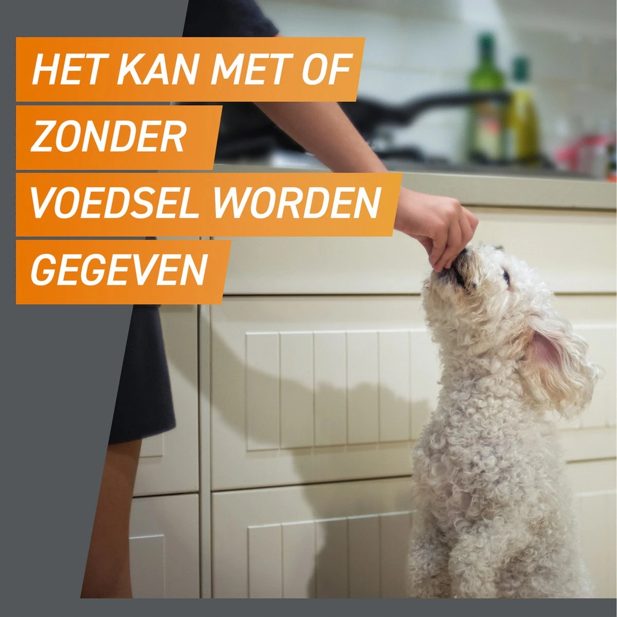 Frontpro Hond M 4-10 Kg 3 Tabletten 7 Frontpro Hond M 4-10 Kg 3 Tabletten - Afbeelding 7