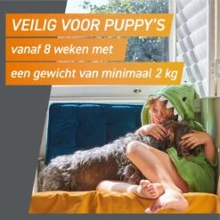 Frontpro Hond M 4-10 Kg 3 Tabletten 17 Frontpro Hond M 4-10 Kg 3 Tabletten -Dieren Product Winkel 1200x1200 2975