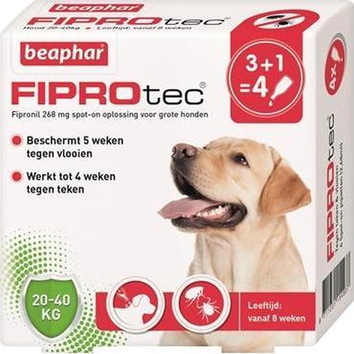 Beaphar Fiprotec Vlooien- En Tekenmiddel Hond 10-20 Kg - 4 Pipetten 9 Beaphar Fiprotec Vlooien- En Tekenmiddel Hond 10-20 Kg - 4 Pipetten - Afbeelding 9