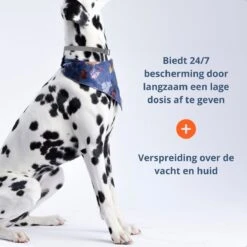 Merkloos Vlooienband Hond - 8 Maanden Bescherming - Vlooienband - Natuurlijk - Tekenband - Anti Vlooien - 63cm - Fit All Sizes - Vlooienbandjes Hond - Vlooien - Teken 12 Merkloos Vlooienband Hond - 8 Maanden Bescherming - Vlooienband - Natuurlijk - Tekenband - Anti Vlooien - 63cm - Fit All Sizes - Vlooienbandjes Hond - Vlooien - Teken -Dieren Product Winkel 1200x1200 2984