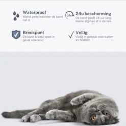 Merkloos Vlooienband Hond - 8 Maanden Bescherming - Vlooienband - Natuurlijk - Tekenband - Anti Vlooien - 63cm - Fit All Sizes - Vlooienbandjes Hond - Vlooien - Teken 14 Merkloos Vlooienband Hond - 8 Maanden Bescherming - Vlooienband - Natuurlijk - Tekenband - Anti Vlooien - 63cm - Fit All Sizes - Vlooienbandjes Hond - Vlooien - Teken -Dieren Product Winkel 1200x1200 2985