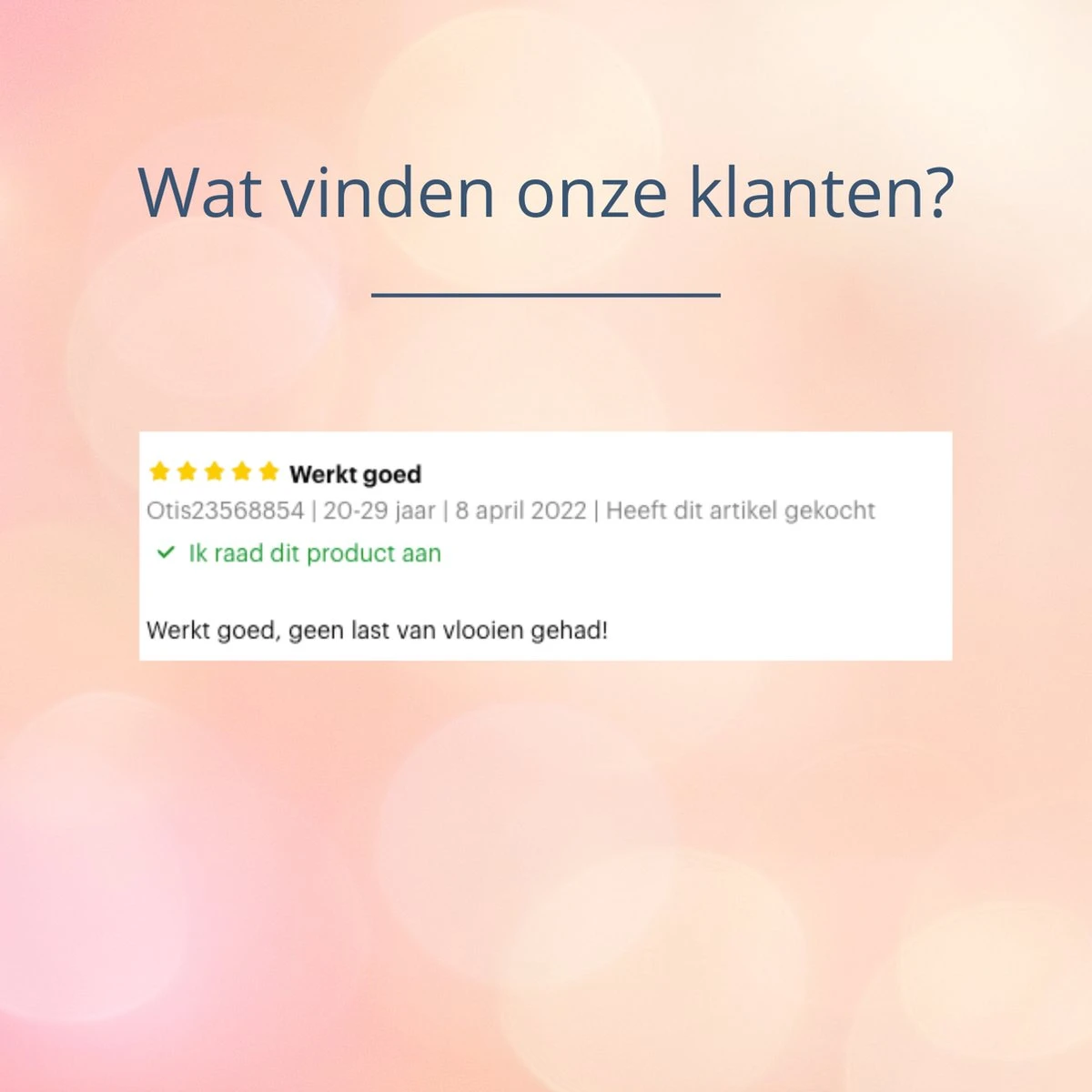 Merkloos Vlooienband Hond - 8 Maanden Bescherming - Vlooienband - Natuurlijk - Tekenband - Anti Vlooien - 63cm - Fit All Sizes - Vlooienbandjes Hond - Vlooien - Teken 7 Merkloos Vlooienband Hond - 8 Maanden Bescherming - Vlooienband - Natuurlijk - Tekenband - Anti Vlooien - 63cm - Fit All Sizes - Vlooienbandjes Hond - Vlooien - Teken - Afbeelding 7