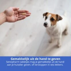 Sensipharm Anal Gland Support Hond - Bij Verstopte En Ontstoken Anaalklieren - Natuurlijk Voedingssupplement - 90 Tabletten à 1000 Mg -Dieren Product Winkel 1200x1200 2989