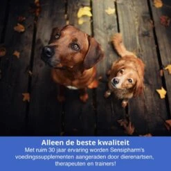 Sensipharm Anal Gland Support Hond - Bij Verstopte En Ontstoken Anaalklieren - Natuurlijk Voedingssupplement - 90 Tabletten à 1000 Mg -Dieren Product Winkel 1200x1200 2992