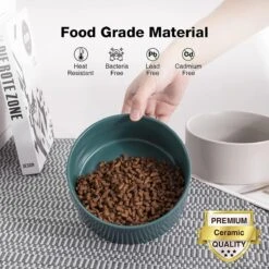 GIZMO 2x Voerbak Kat - 400 Ml - Groen - Keramische Drink- & Voerbakken Met Standaard - 13 Cm - 2 Stuks 16 GIZMO 2x Voerbak Kat - 400 Ml - Groen - Keramische Drink- & Voerbakken Met Standaard - 13 Cm - 2 Stuks -Dieren Product Winkel 1200x1200 302