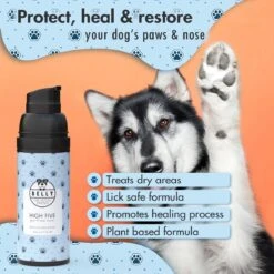 BELLY Paw & Nose Cream - Honden Huidverzorging - Hondenpoten & Hondenneus Crème, Pootverzorging Voor Zachte & Beschermde Voetkussens - 50ml -Dieren Product Winkel 1200x1200 3034