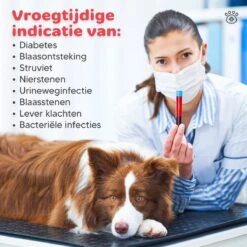 Thuistest Voor Honden - 2 Stuks - Urinetest - Diagnose Van Infecties - Diabetes - Blaasontsteking - Struviet - Nierstenen - Urineweginfectie - Blaasstenen -Dieren Product Winkel 1200x1200 3042