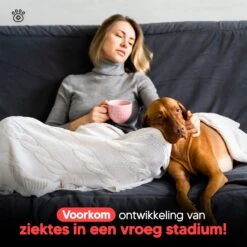 Thuistest Voor Honden - 2 Stuks - Urinetest - Diagnose Van Infecties - Diabetes - Blaasontsteking - Struviet - Nierstenen - Urineweginfectie - Blaasstenen -Dieren Product Winkel 1200x1200 3045