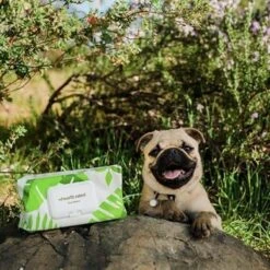 Earth Rated Dog Wipes Schoonmaakdoekjes Geurloos 100 Doekjes -Dieren Product Winkel 1200x1200 3047
