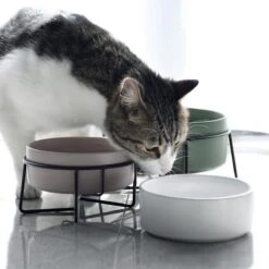 GIZMO 2x Voerbak Kat - 400 Ml - Groen - Keramische Drink- & Voerbakken Met Standaard - 13 Cm - 2 Stuks 22 GIZMO 2x Voerbak Kat - 400 Ml - Groen - Keramische Drink- & Voerbakken Met Standaard - 13 Cm - 2 Stuks -Dieren Product Winkel 1200x1200 305