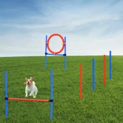 Merkloos Honden Agility Set - 23-delig - Agility Voor De Hond - Agility - Honden Parcours - Honden Training - Rood/Blauw -Dieren Product Winkel 1200x1200 3062