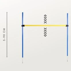 Agility Voor De Hond - Agility Set- Hondentunnel 300 Cm- Slalom Set - Horde - Startveld - Honden Behendigheidsset - 16 Delig - Tunnel - Slalom - Horde - Agility Set Voor De Hond - Agility Set -Dieren Product Winkel 1200x1200 3071