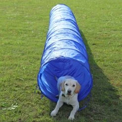 Agility Voor De Hond - Agility Set- Hondentunnel 300 Cm- Slalom Set - Horde - Startveld - Honden Behendigheidsset - 16 Delig - Tunnel - Slalom - Horde - Agility Set Voor De Hond - Agility Set -Dieren Product Winkel 1200x1200 3075