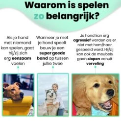 Petloverz – Honden Speelgoed Set – Honden Speeltjes – Knuffel - Speelgoed – Intelligentie – 15 Speeltjes -Dieren Product Winkel 1200x1200 3079