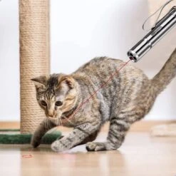 Laserpen - Kattenspeeltjes - Laser - Katten Speelgoed - Kattenspeelgoed - Laserlampje Kat - Speeltjes - Pointer - Lamp - Laserlampje - USB Oplaadbaar 11 Laserpen - Kattenspeeltjes - Laser - Katten Speelgoed - Kattenspeelgoed - Laserlampje Kat - Speeltjes - Pointer - Lamp - Laserlampje - USB Oplaadbaar -Dieren Product Winkel 1200x1200 3116