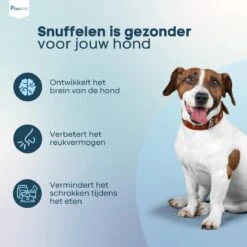 Pawzle Snuffelmat Hond - Likmat - Anti Schrokbak - Honden Speelgoed Intelligentie - Puppy - Inclusief Speelbal - 50x50cm - Blauw -Dieren Product Winkel 1200x1200 3180