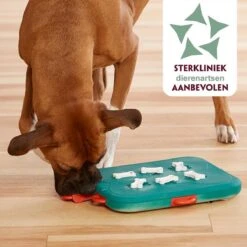 Nina Ottosson Dog Casino - Turquoise/Oranje - 31,5 X 26 X 4,5 Cm 12 Nina Ottosson Dog Casino - Turquoise/Oranje - 31,5 X 26 X 4,5 Cm -Dieren Product Winkel 1200x1200 3199