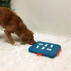 Nina Ottosson Dog Casino - Turquoise/Oranje - 31,5 X 26 X 4,5 Cm 15 Nina Ottosson Dog Casino - Turquoise/Oranje - 31,5 X 26 X 4,5 Cm -Dieren Product Winkel 1200x1200 3201