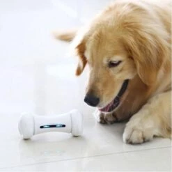 Wickedbone - Automatisch, Interactief En Intelligent Speelgoed Voor Honden - App & Bluetooth Bestuurbaar - USB Oplaadbaar -Dieren Product Winkel 1200x1200 3210