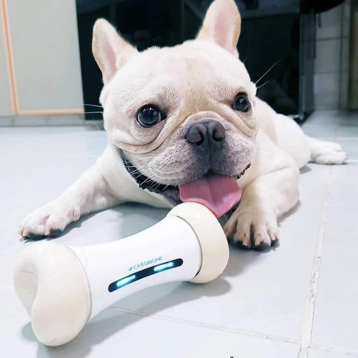 Cheerble Wickedbone|Automatisch Hondenspeeltje|Interactief En Intelligent Speelgoed Voor Honden|App & Bluetooth Bestuurbaar|USB Oplaadbaar 8 Cheerble Wickedbone|Automatisch Hondenspeeltje|Interactief En Intelligent Speelgoed Voor Honden|App & Bluetooth Bestuurbaar|USB Oplaadbaar - Afbeelding 8