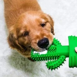 Tandenborstel + TANDPASTA Hond Melk Geur Smaak En Piep Honden Speelgoed - Cactus Dog Toy Tandverzorging Kauwbotten Hondenspeelgoed Hondenbot Kauwstaaf Tanden Puppy Hondenspeeltje Sterk Kauwspeelgoed - Dutchwide -Dieren Product Winkel 1200x1200 3217