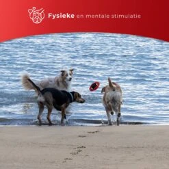 Kauwbot Stuurwiel 2.0 Extra Sterk Melk Geur Smaak En Piep Honden Speelgoed - Kauwspeelgoed Bot Hond - Dutchwide -Dieren Product Winkel 1200x1200 3222