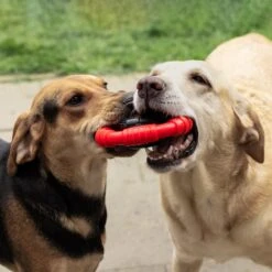 Kauwbot Stuurwiel 2.0 Extra Sterk Melk Geur Smaak En Piep Honden Speelgoed - Kauwspeelgoed Bot Hond - Dutchwide -Dieren Product Winkel 1200x1200 3224