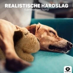 Vulpes Pets® Knuffel Hond Met Hartslag – Puppyknuffel - Hondenknuffel Voor Puppy - Snuggle Puppy - Knuffel Met Hartslag En Gratis Warmte Pad Speciaal Voor Puppy's -Dieren Product Winkel 1200x1200 3267