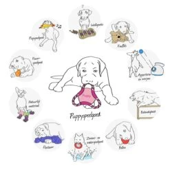 Kong Puppy Goodie Bone Small Small - 1 ST -Dieren Product Winkel 1200x1200 3286