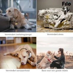 Filo Hondenknuffel Met Hartslag En Warmtebron - Hartslagknuffel Hondenspeelgoed Snuggle Puppy - Knuffel Met Hartslag - Heartbeat Knuffel Hond -Dieren Product Winkel 1200x1200 3291