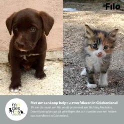 Filo Hondenknuffel Met Hartslag En Warmtebron - Hartslagknuffel Hondenspeelgoed Snuggle Puppy - Knuffel Met Hartslag - Heartbeat Knuffel Hond -Dieren Product Winkel 1200x1200 3292