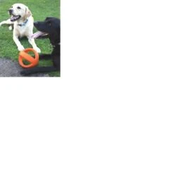 Happy Pet Grubber Interactieve Voetbal Blauw (18X18X18 CM) -Dieren Product Winkel 1200x1200 3314