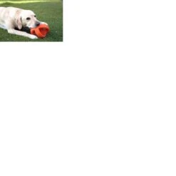 Happy Pet Grubber Interactieve Voetbal Blauw (18X18X18 CM) -Dieren Product Winkel 1200x1200 3315