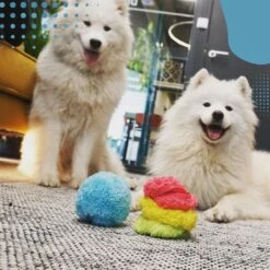 Merkloos Magic Roller Ball – Honden Speelgoed – Kattenspeeltjes - Honden Speeltjes - Kattenspeelgoed - INCLUSIEF BATTERIJ -Dieren Product Winkel 1200x1200 3318