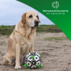 Honden Speelgoed Bal Voetbal Extra Sterk Met Handvaten Ball Hondenbal - 15 Cm - Dutchwide -Dieren Product Winkel 1200x1200 3326