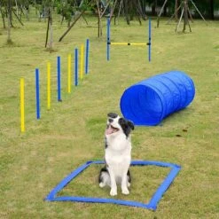 Agility Voor De Hond - 16 Delig - Agility Set - Hondentunnel - Horde - Slalom Palen - Honden Training Set - Honden Behendigheidsset - Agility Toestellen -Dieren Product Winkel 1200x1200 3338