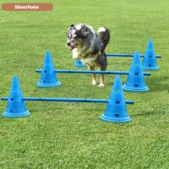 Agility Voor De Hond - Honden Training - Dog Activity - Behendigheid Hond - Parcours 10 Agility Voor De Hond - Honden Training - Dog Activity - Behendigheid Hond - Parcours -Dieren Product Winkel 1200x1200 3343
