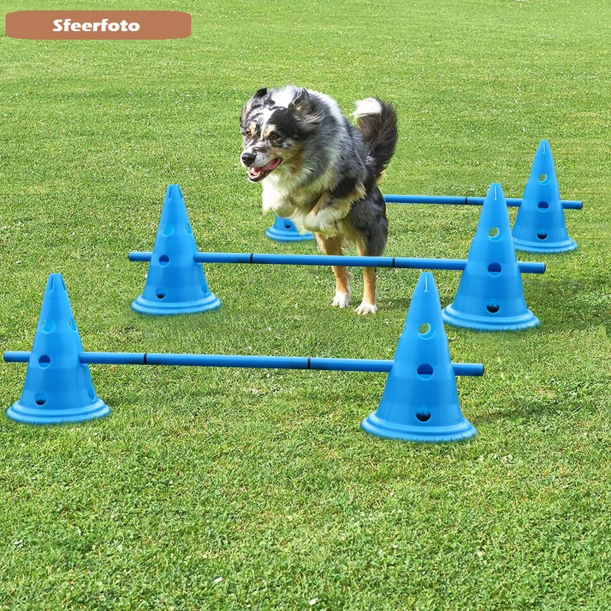 Agility Voor De Hond - Honden Training - Dog Activity - Behendigheid Hond - Parcours 4 Agility Voor De Hond - Honden Training - Dog Activity - Behendigheid Hond - Parcours - Afbeelding 4