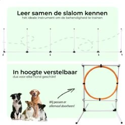 AYOO Agility Voor De Hond - Honden Training - Honden Behendigheid Set - Hondenparcours - Training Huisdieren - Honden Agility Set - Slalom - Horde - Draagzak - Agility Set - Oranje - Wit - GRATIS Speeltouw -Dieren Product Winkel 1200x1200 3360