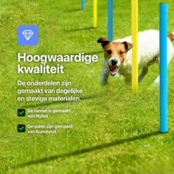 Tavaro Agility Voor De Hond - Honden Training - Hondentunnel - Springhoepel - Horde - Slalom - Honden Behendigheid Trainingsset -Dieren Product Winkel 1200x1200 3364