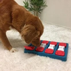 Nina Ottosson - Hondenspel - Dog Brick -Dieren Product Winkel 1200x1200 3367