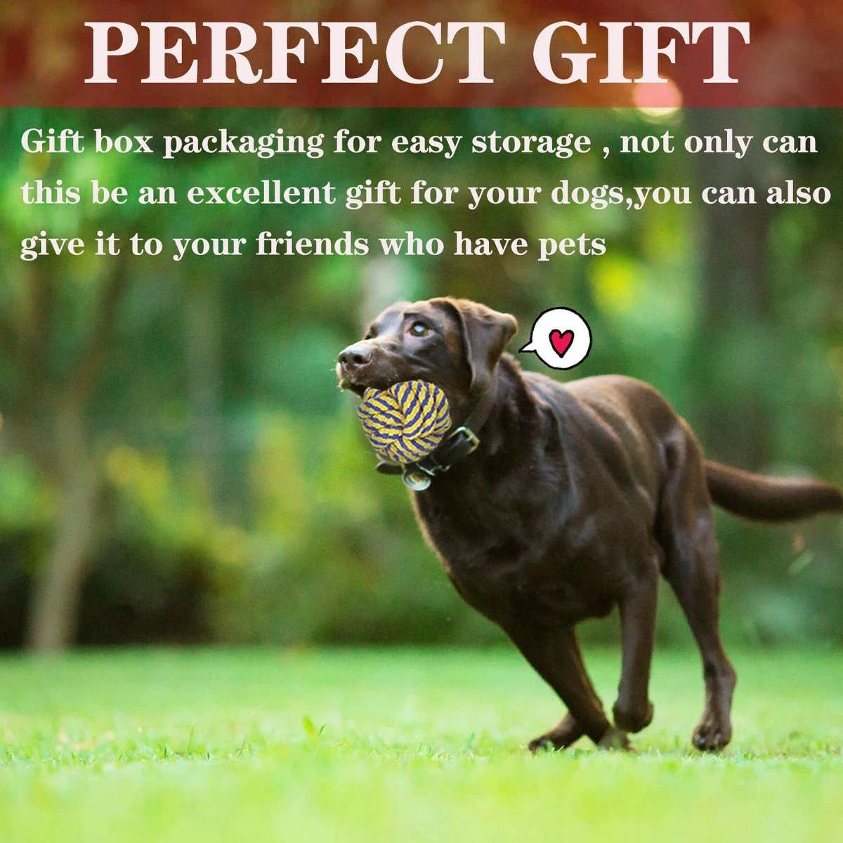 Nobleza Honden Speelgoed Set PLJ - 10 Stuks 5 Nobleza Honden Speelgoed Set PLJ - 10 Stuks - Afbeelding 5