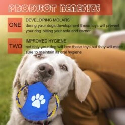 Nobleza Honden Speelgoed Set PLJ - 10 Stuks 16 Nobleza Honden Speelgoed Set PLJ - 10 Stuks -Dieren Product Winkel 1200x1200 3380