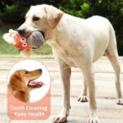 Merkloos Hondenknuffel - Interactief Piepspeelgoed Voor Honden - Teddy - Stoer Hondenkauwspeelgoed - Met Katoenen Materiaal En Gekreukt Papier - Hondenspeelgoed Voor Grote En Kleine Honden -Dieren Product Winkel 1200x1200 3402