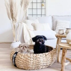 District 70 COCOON - Luxe Hondenmand Van Duurzaam Hoogwaardig Riet Met Zacht Kussen - Maten S/M/L - Large -Dieren Product Winkel 1200x1200 3474