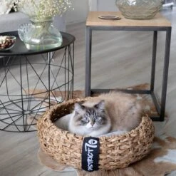 District 70 COCOON - Luxe Hondenmand Van Duurzaam Hoogwaardig Riet Met Zacht Kussen - Maten S/M/L - Large -Dieren Product Winkel 1200x1200 3477