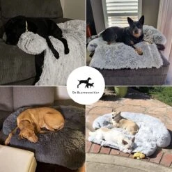 Premium Hondendeken Bank - Hondenkussens - Hondenmand Bank - Hondendeken Voor Op De Bank - Bankbeschermer - Donkergrijs -Dieren Product Winkel 1200x1200 3503